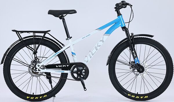 Xe đạp địa hình thể thao Vicky VC600 2024